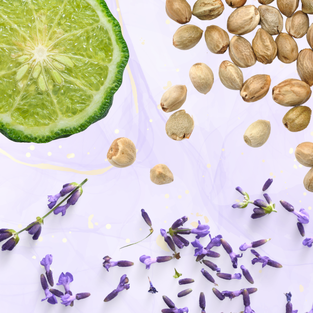 Hemp Seed Natural Perfume