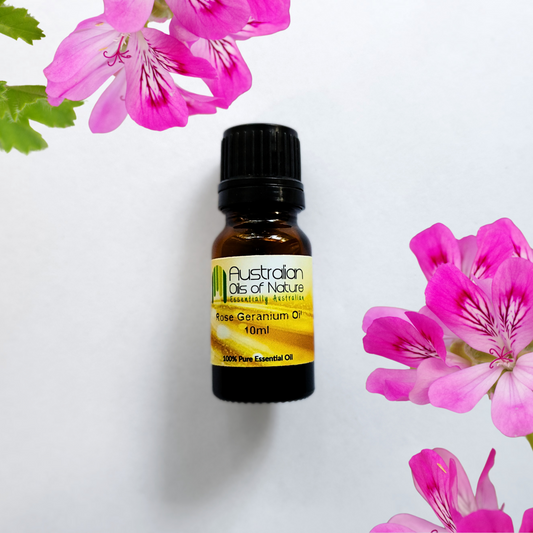 Rose Geranium Essential Oil