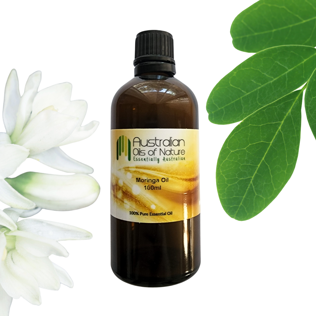 Moringa Oil Moringa Flower Moringa Leaf