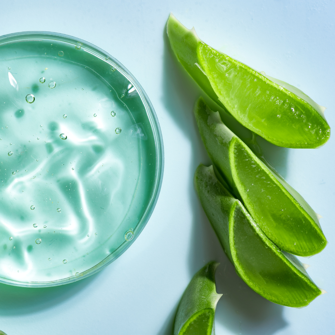 Aloe Vera Concentrate