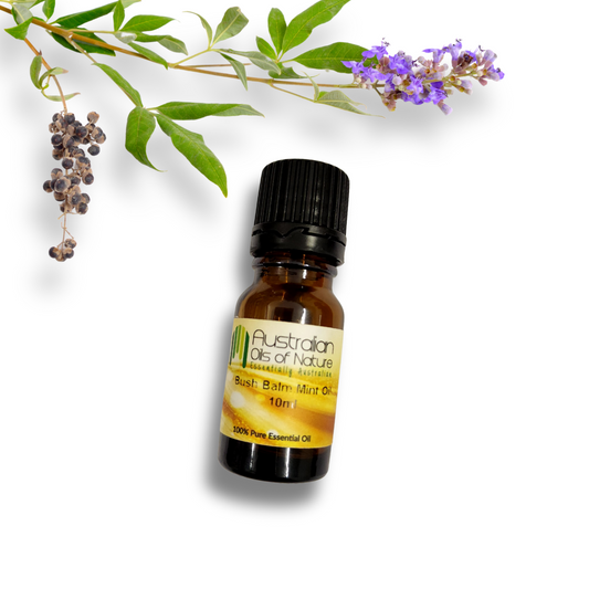 Bush Balm Mint Essential Oil