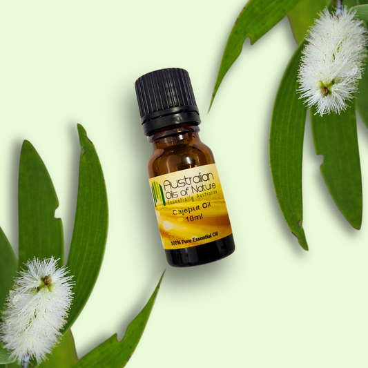 Cajeput Essential OIl