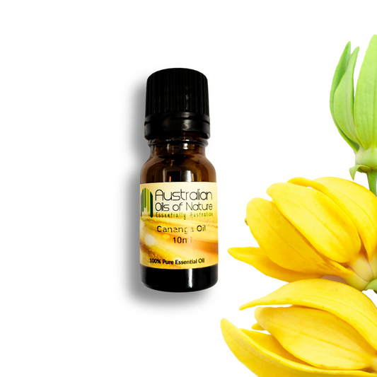 Cananga Essential OIl