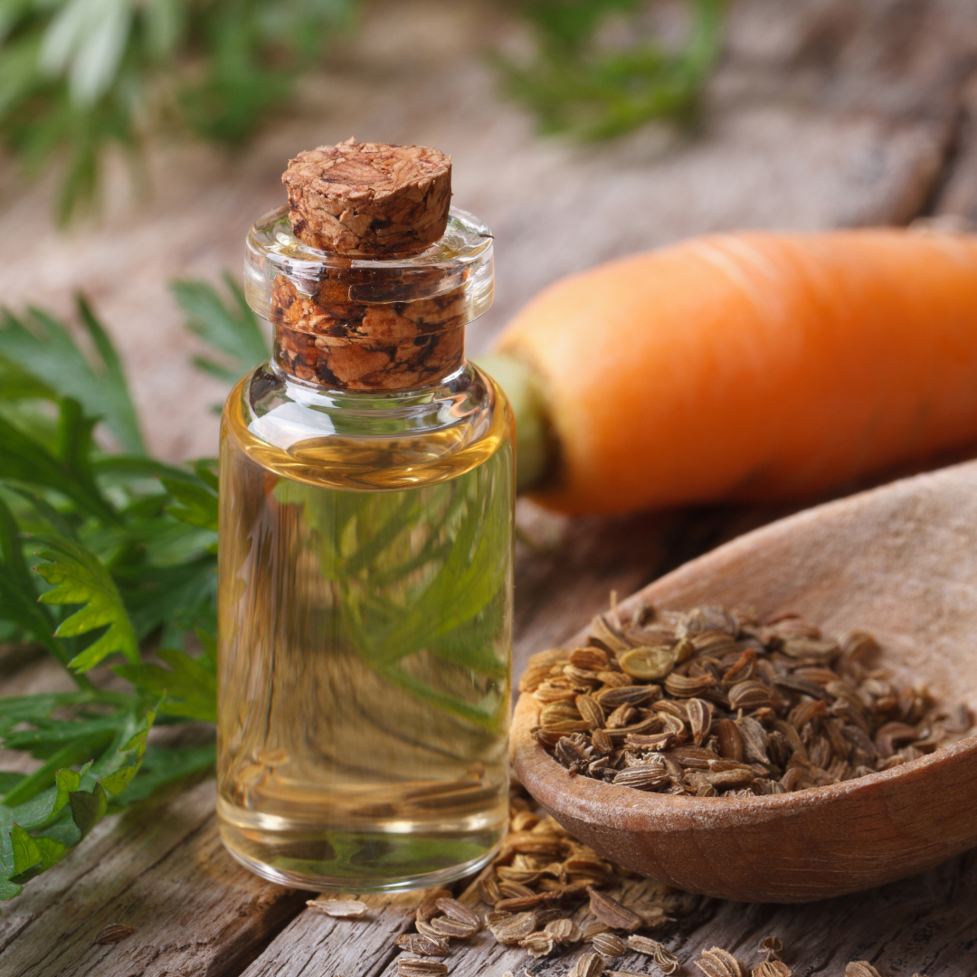 Carrot Seed Essential Oil