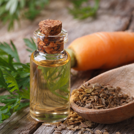 Carrot Seed Essential Oil