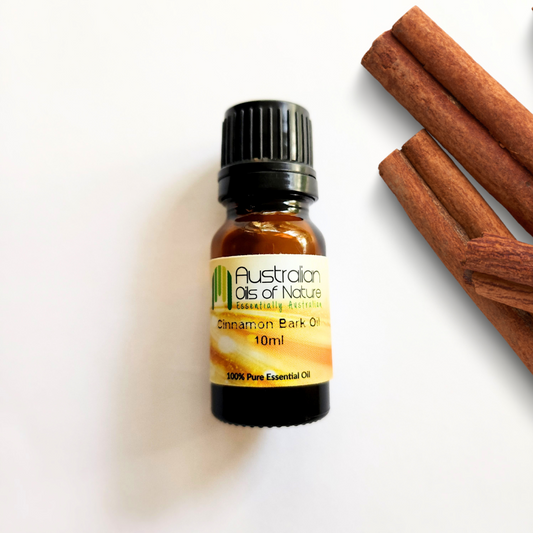 Cinnamon Bark Essential Oil