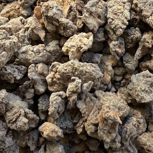 Frankincense Neglecta Essential Oil