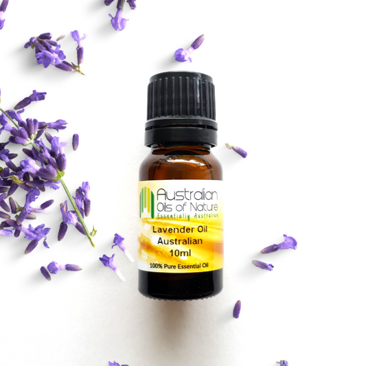 Australian Lavender Essential Oil (Organic)