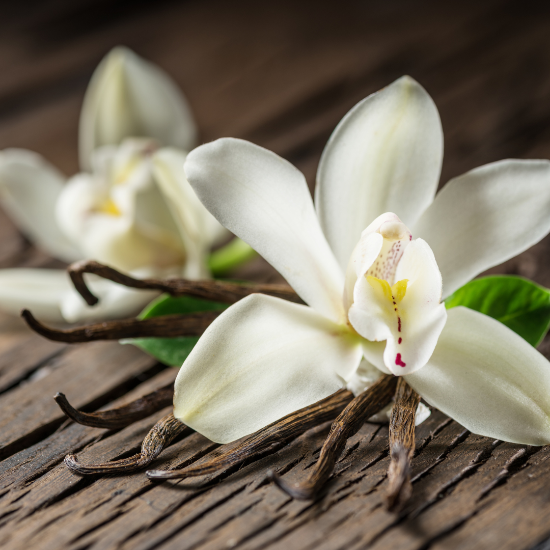 Vanilla-Infused Oil