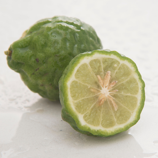 Bergamot Essential Oil