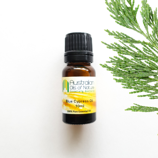 Blue Cypress Essential Oil