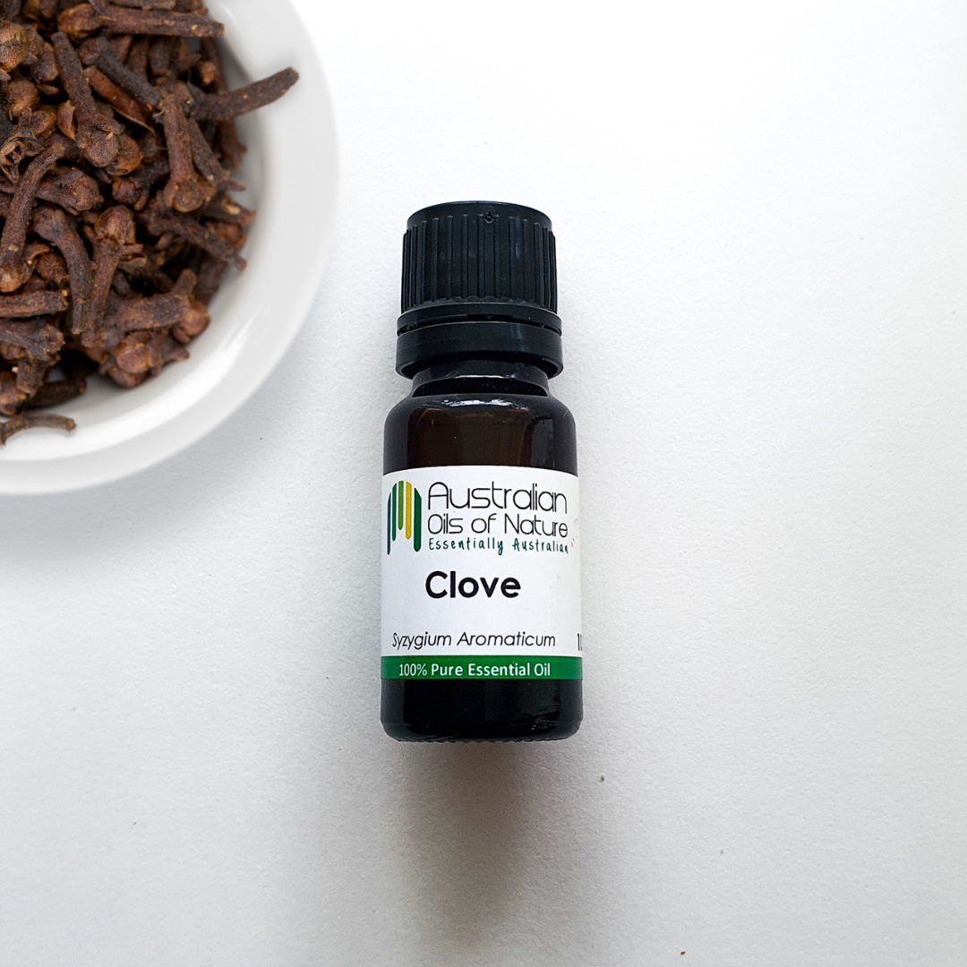 Clove Bud Essential Oil
