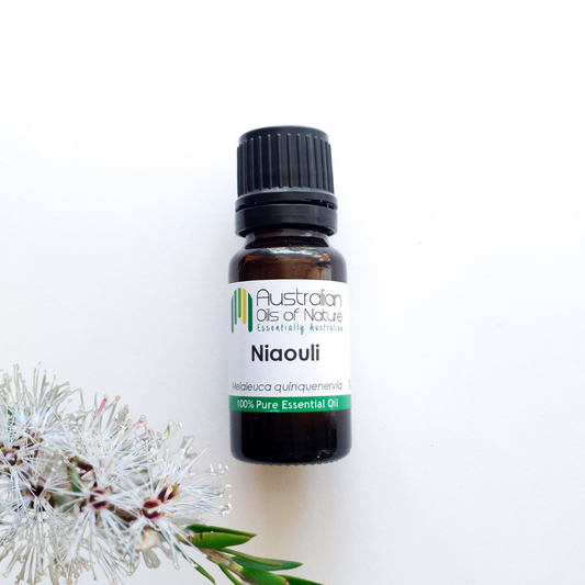 Niaouli Essential Oil