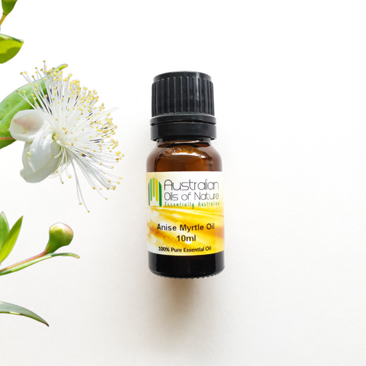 Anise Myrtle Essential Oil