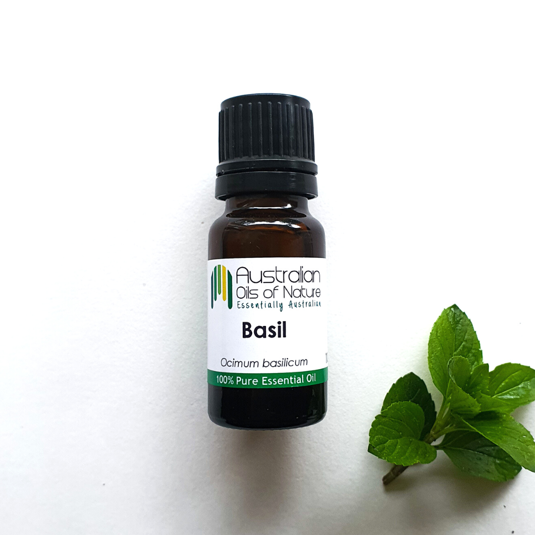 Basil Essential Oil