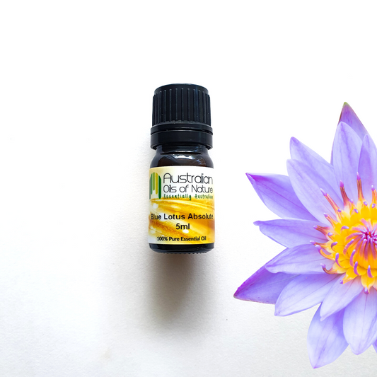 Blue Lotus Absolute