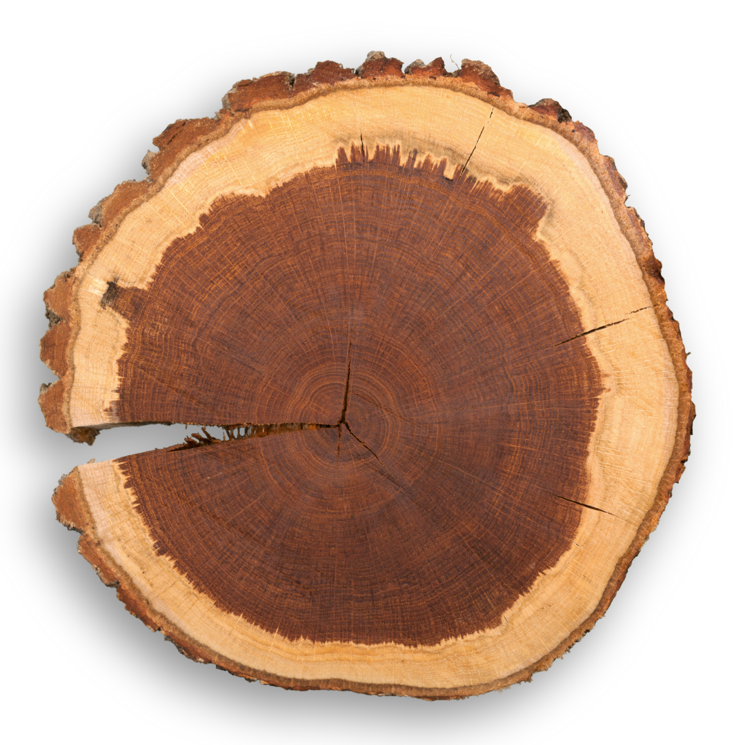 Buddha Wood Essential Oil