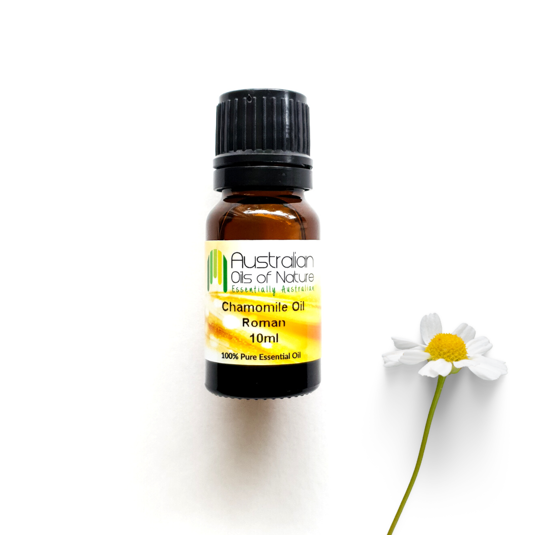 Roman Chamomile (Italy) Essential Oil