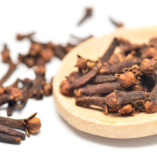 Clove Bud Essential Oil