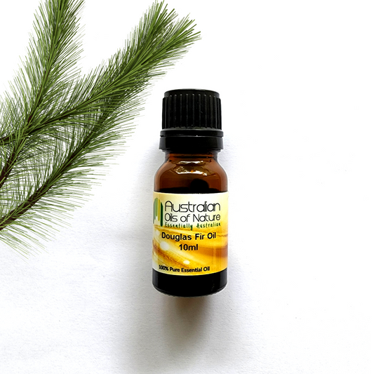 Douglas Fir Essential Oil