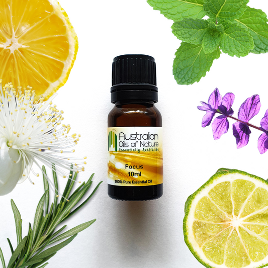 Focus Essential Oil Blend