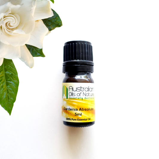 Gardenia Absolute Oil