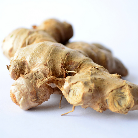 Ginger Essential Oil