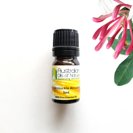 Honeysuckle Absolute Oil