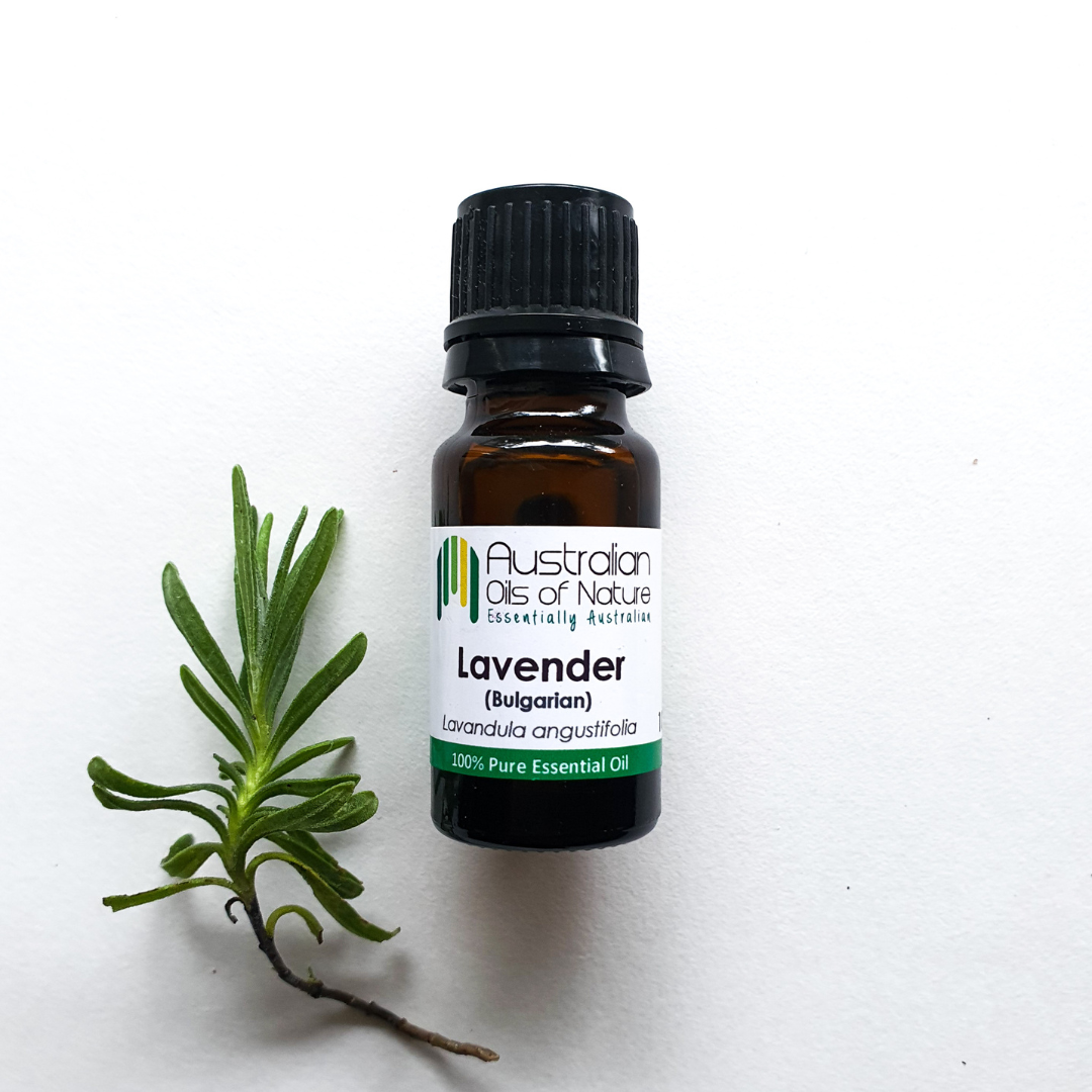 Lavender (Bulgarian) Essential Oil