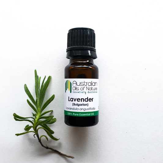 Lavender (Bulgarian) Essential Oil