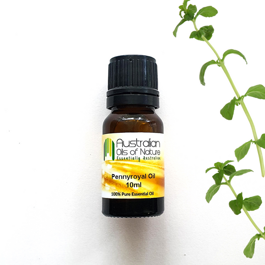 Pennyroyal Essential Oil