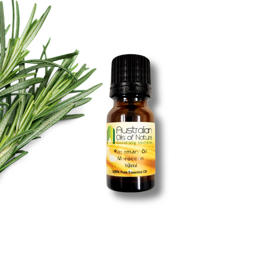 Rosemary Oil Benefits for Hair Growth and Scalp Health