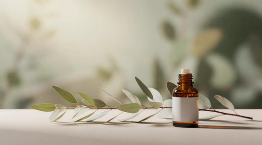 Eucalyptus Staigeriana — A Native Australian Essential Oil Profile
