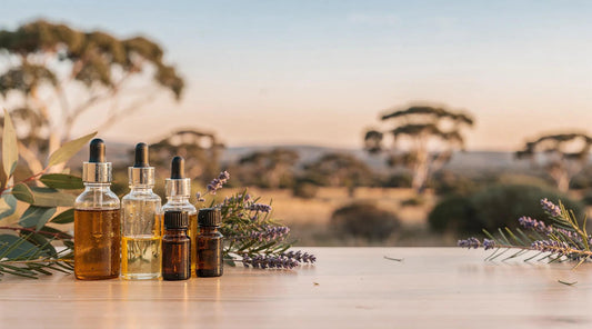 Australian Native Essential Oils Wholesale — A 2026 Guide for Formulators