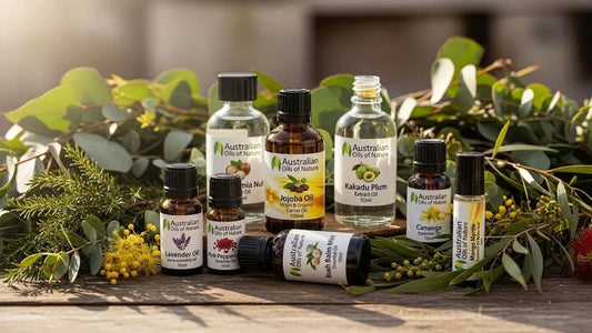 Best Australian Essential Oils: A Complete Guide to Native Botanicals