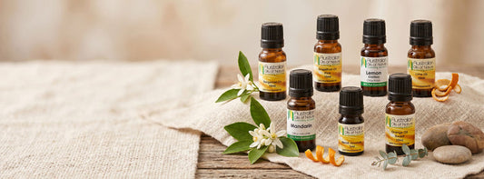 Best Essential Oil Blends for Every Room in Your Home