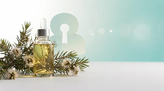 Kunzea Oil — Benefits Guide and How to Use It