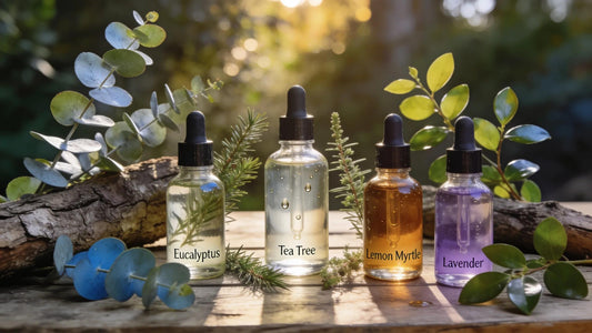 Australian native essential oils displayed in elegant bottles with eucalyptus leaves in a natural setting