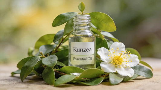 Kunzea essential oil bottle with leaves and flowers, highlighting its natural wellness properties