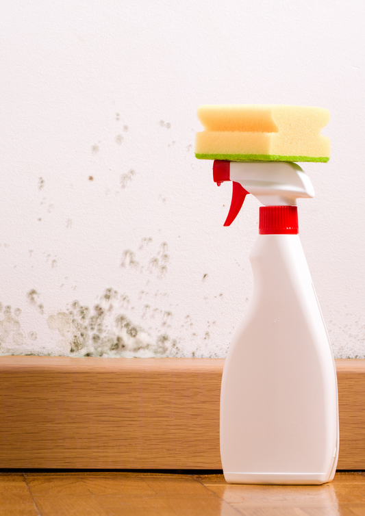 Essential Oils for Mould — Complete Australian Guide for 2026