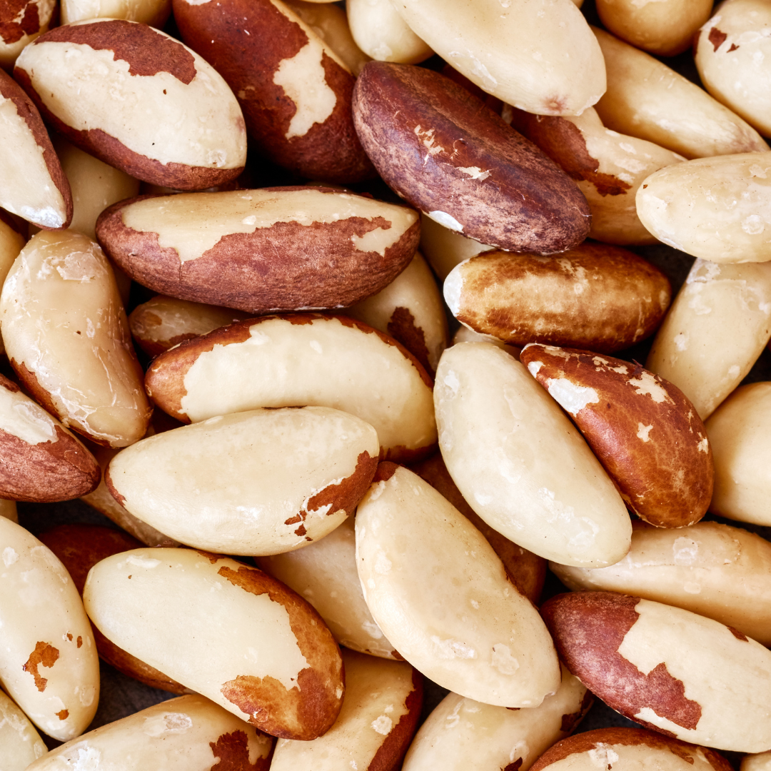Brazil Nut Health Benefits Brazil Nut Oil