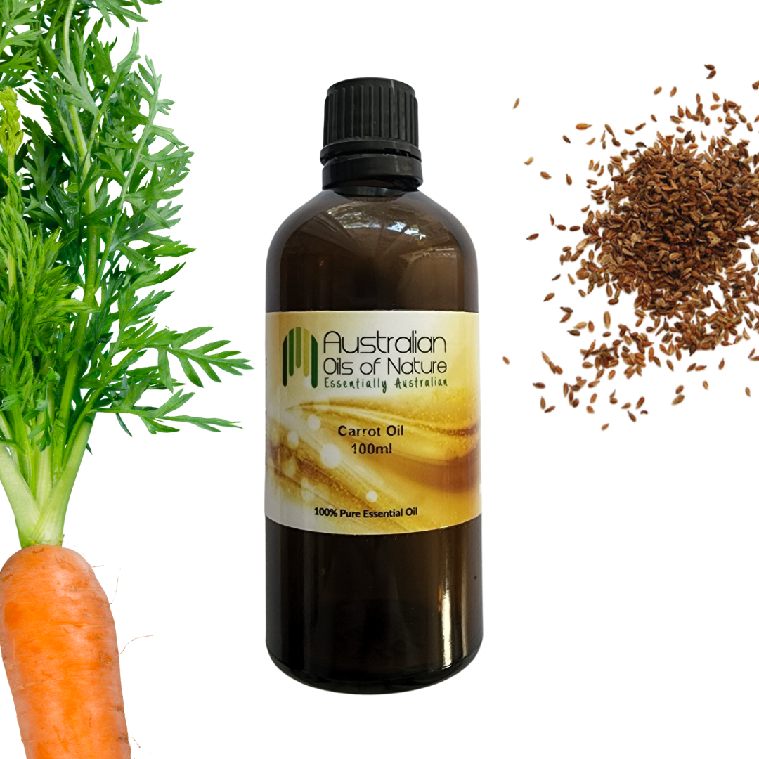 Carrot Seed Oil