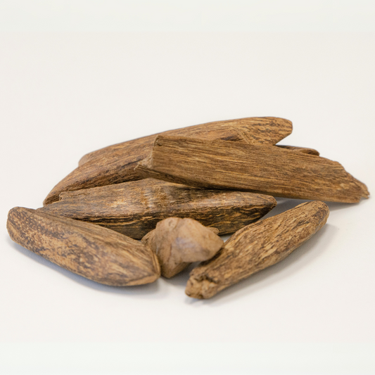Agarwood (Oud) Essential Oil