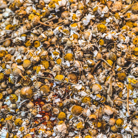 English Chamomile Essential Oil