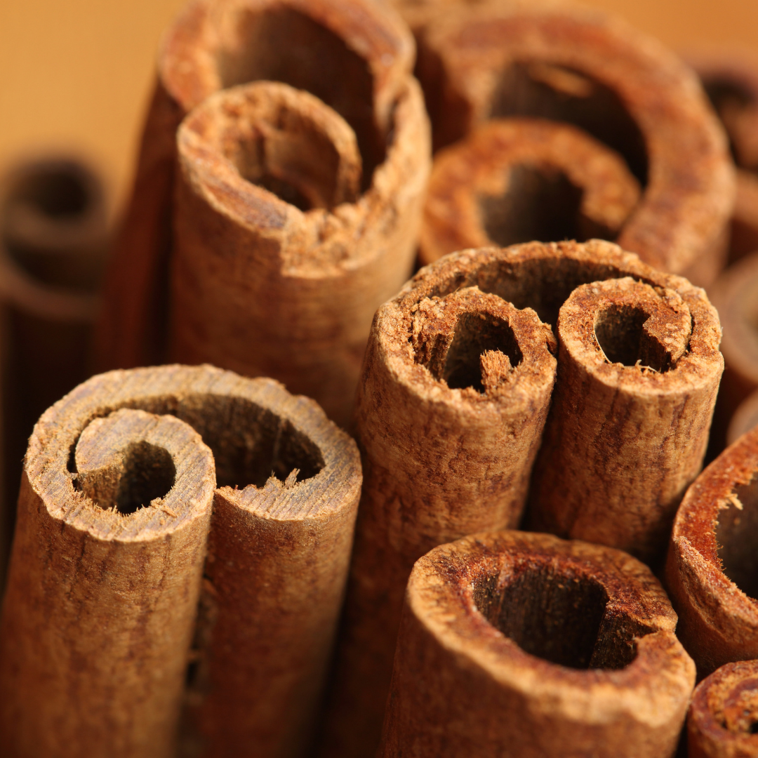 Cinnamon Bark Essential Oil