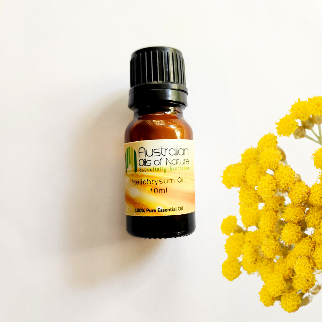 Helichrysum Essential Oil Australian Oils Of Nature helichrysum-essential-oil-australian-oils-of-nature