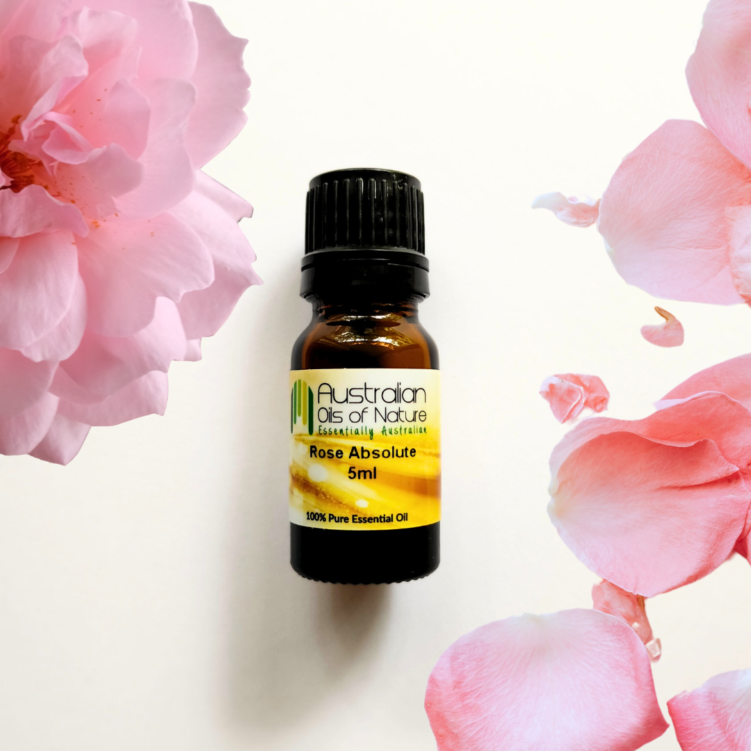 Rose Absolute Process Rose (Centifolia) Absolute | Australian Oils Of Nature