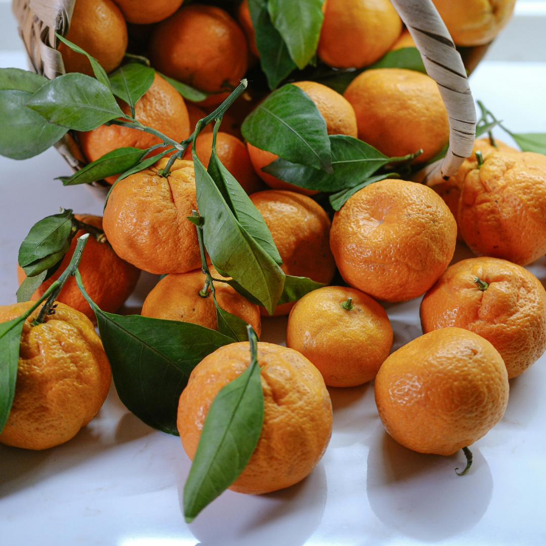 Tangerine Essential Oil