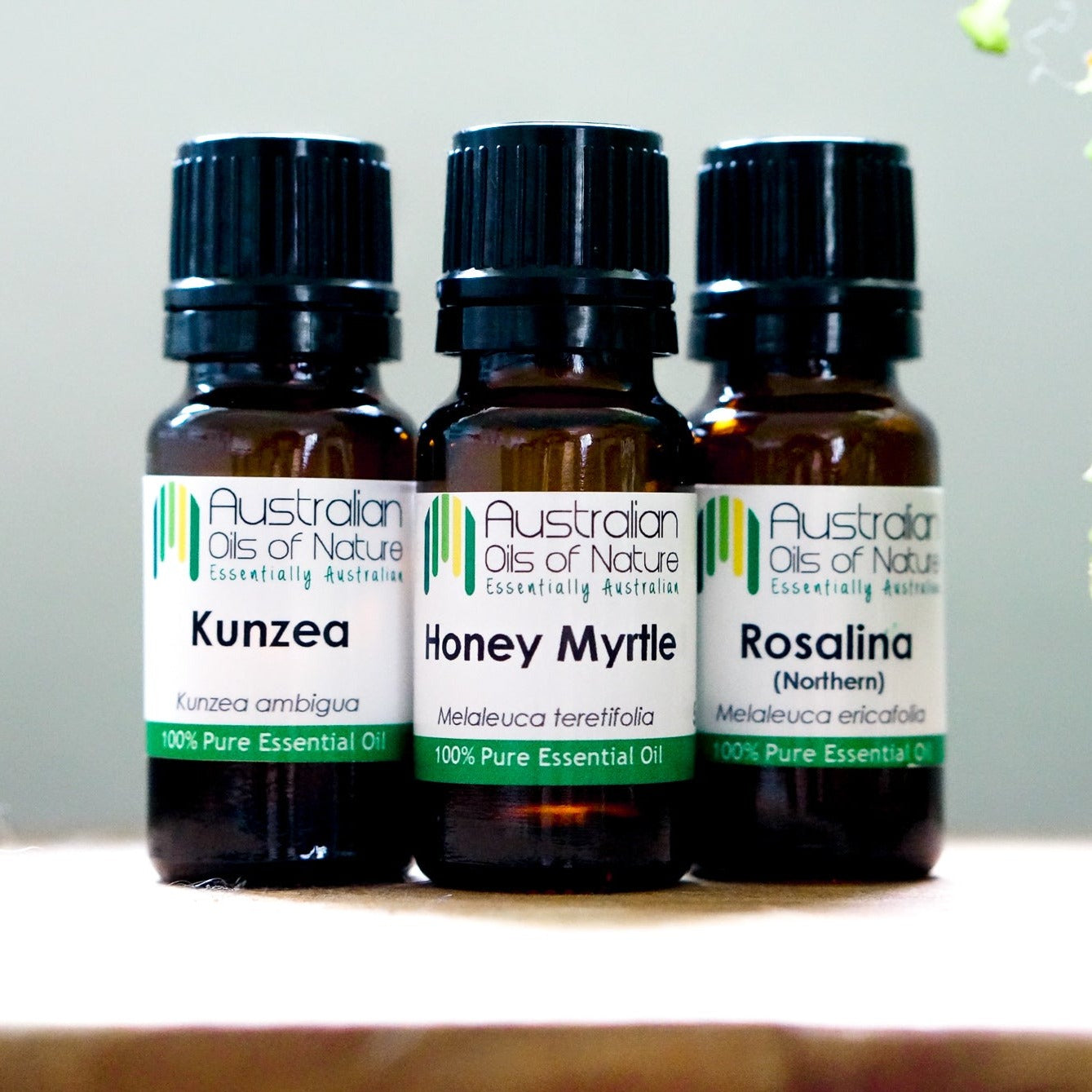 Australiana Essential Oil Bundle: Honey Myrtle, Rosalina & Kunzea