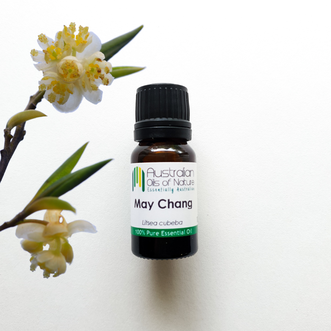 May Chang Essential Oil